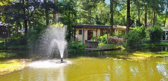 Huisje Vijverzicht Veluwe