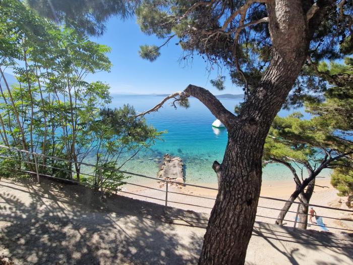 Bluetique Beach Apartments