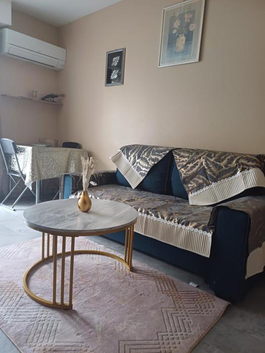 Elegant F1 proche tramway et plage