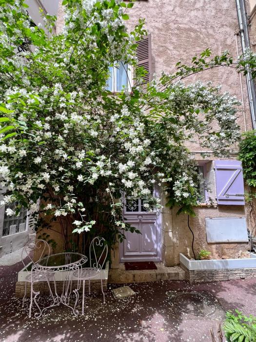 La maison Bohème