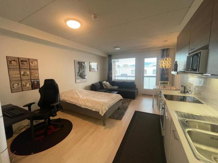 Tilava yksiö hyvällä sijainnilla