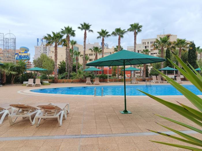 Ayf terraza con vistas a las carrozas magic world