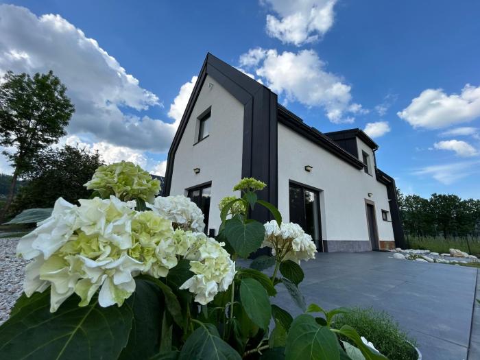 BLACK & WHITE HOUSES
