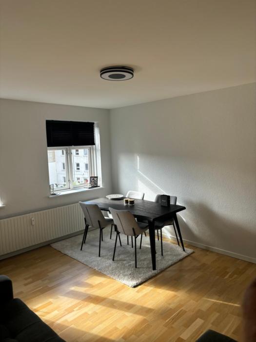 Central Apartment Aalborg C - Sorin