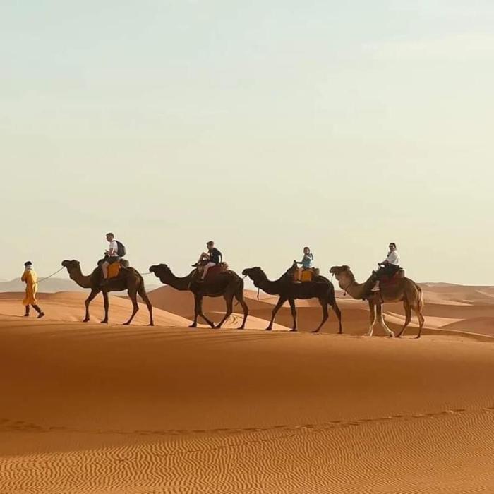Trekking Desert