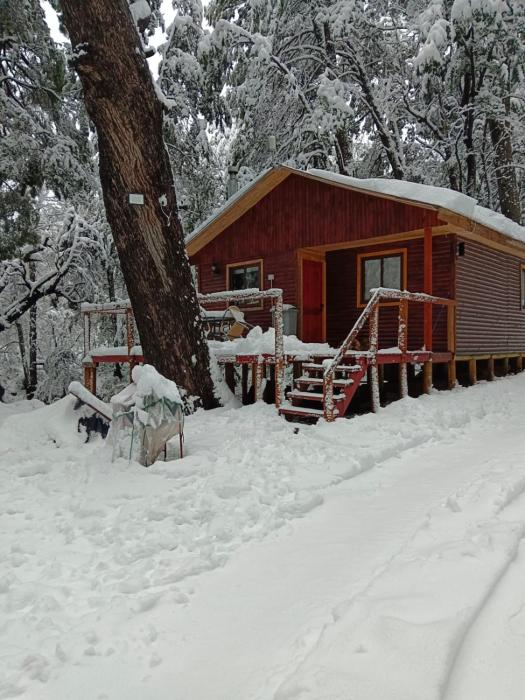 Cabañas Termas de Chillán