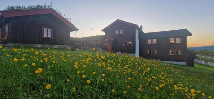 Skotten Seter - Bed & Husky