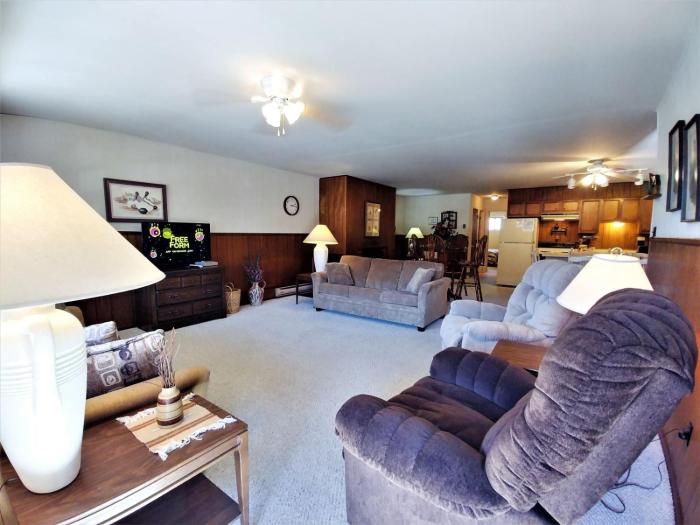 Ski View 03 - On Main Street - WiFi - Cable - Fireplace - Trailer Parking In Back - Patio with Gas Grill