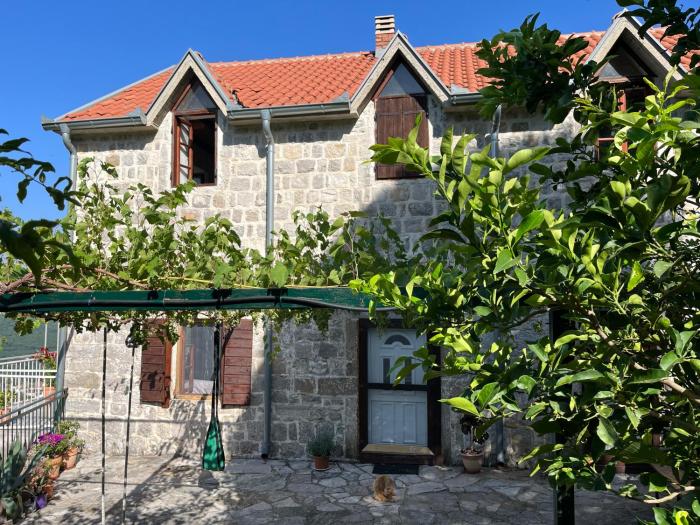 Artists House on the Mountain