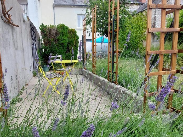 Maison charmante avec jardin près de Tours et Châteauroux - FR-1-591-594