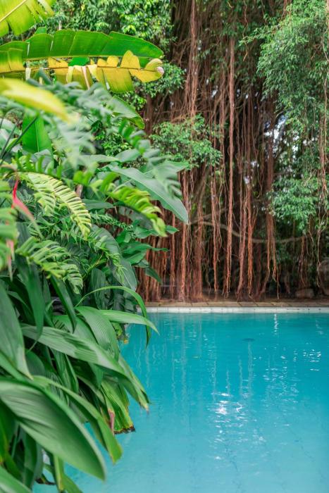 The Fern Cove Villa - Colombo