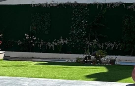 O Cantinho da Cotovia