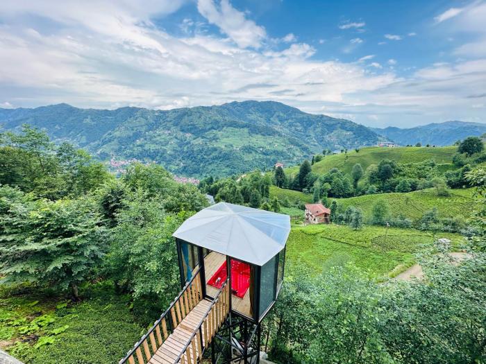 Organic village bungalow