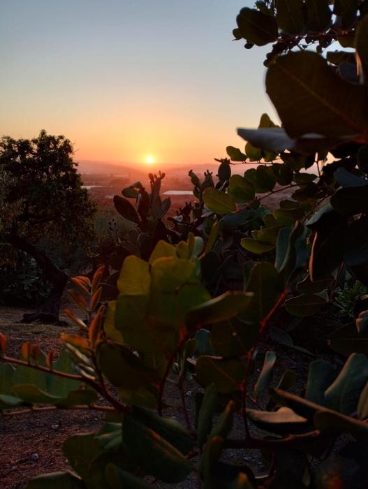 Ronnavona Casa Vacanze B&B