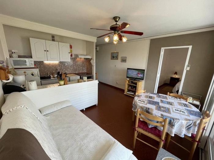 Appartement T3 Climatisé, 6 Pers, Proche Plage et Commerces, Parking Privé, Animaux Admis - FR-1-106-104