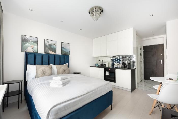 Plac Politechniki Cosy Studio by BookingHost