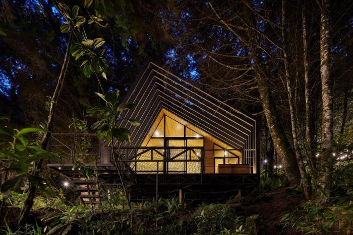 Oculto refugio de bosque