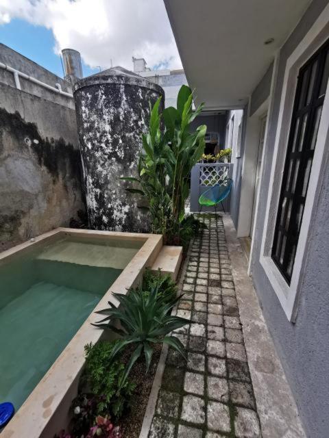 Chichipato Casa Boutique