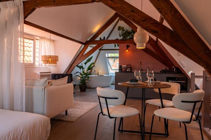 Stylish loft Den Haag - The King Swiete - Between city center & the beach - The Swiete