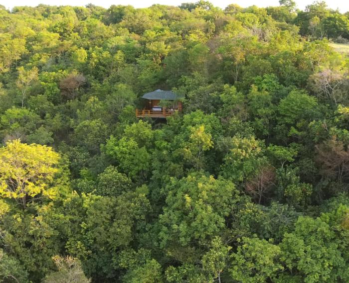Ecolodge La Corocora