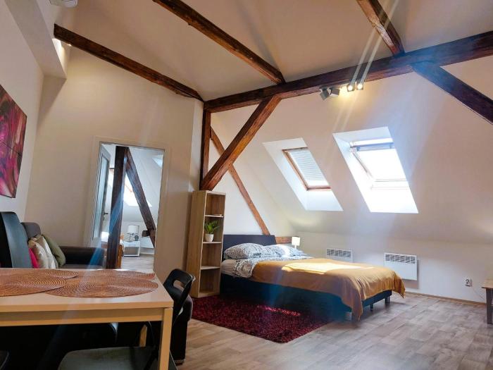 Spacious Historic Attic Loft in City Center 62 m