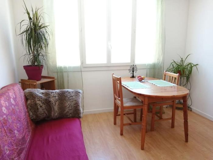 Bright central apartment close to St Charles station