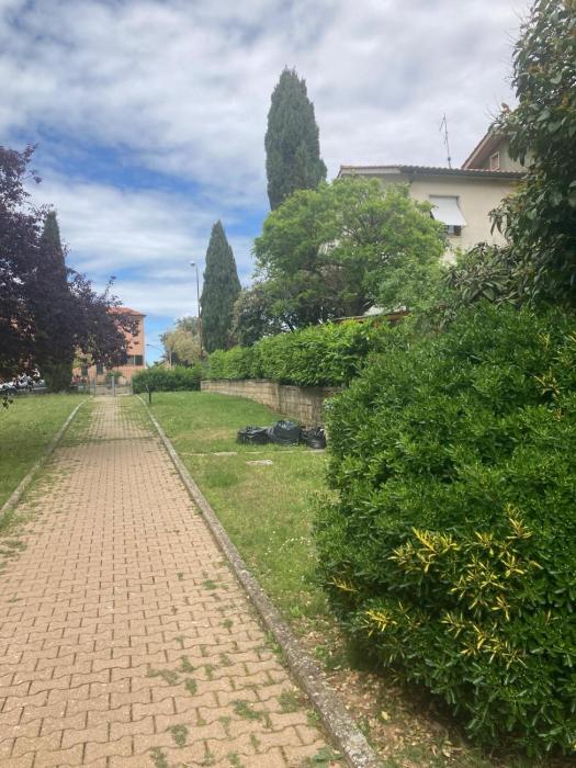 La Rosa della Val DOrcia