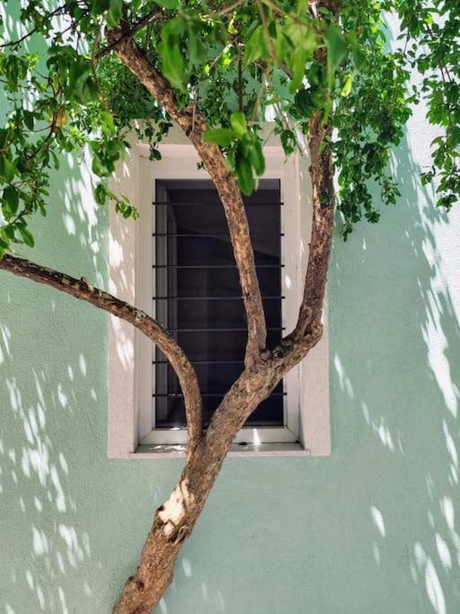 Filip and Myrsinis house - apartment