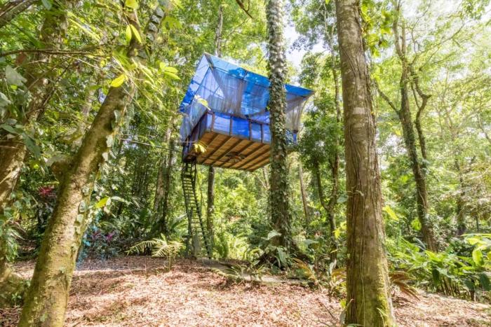 Treehouse Blue Morpho floating w360 view & pool