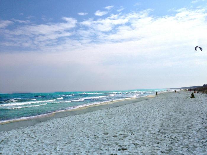 Seelöwe - Arkonablick