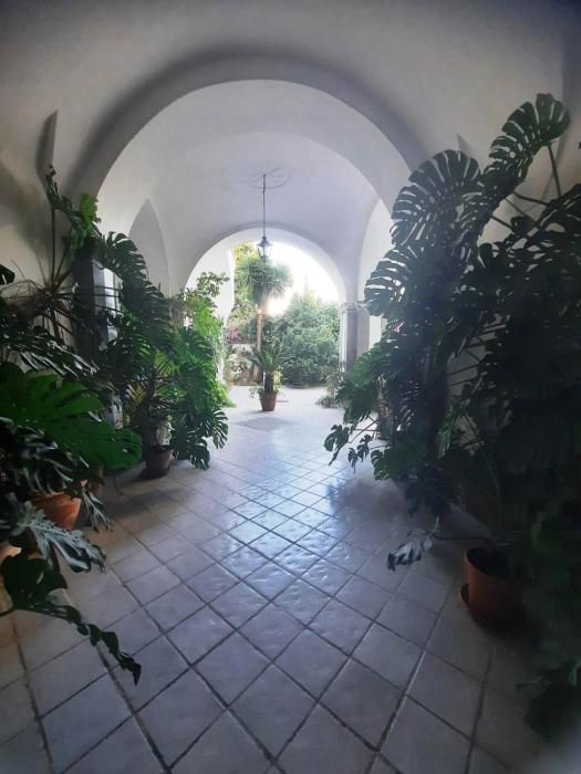 La casa delle Camelie