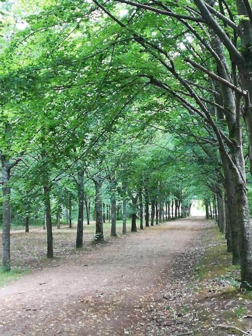 Maison au calme avec jardin proche Paris