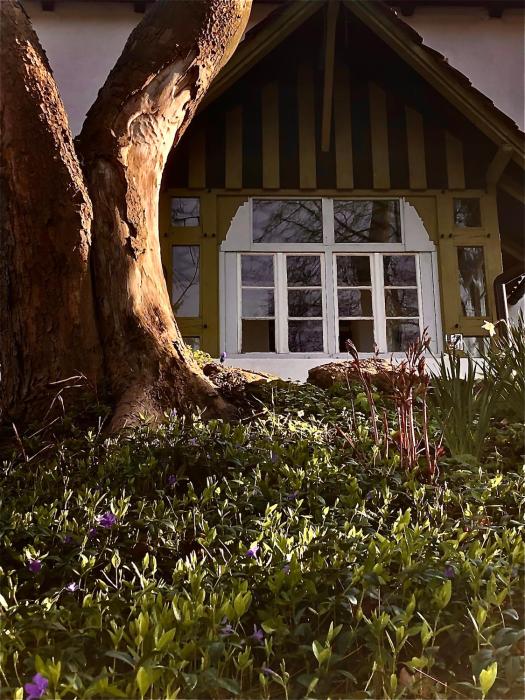 Slow life Karkonosze