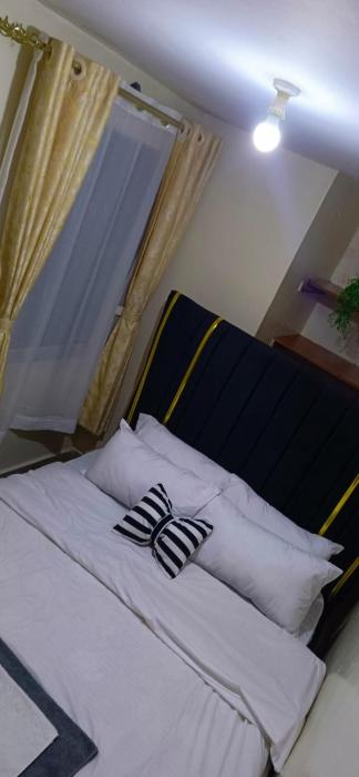 Lavish 1 bedroom apartments in TRM Thika road