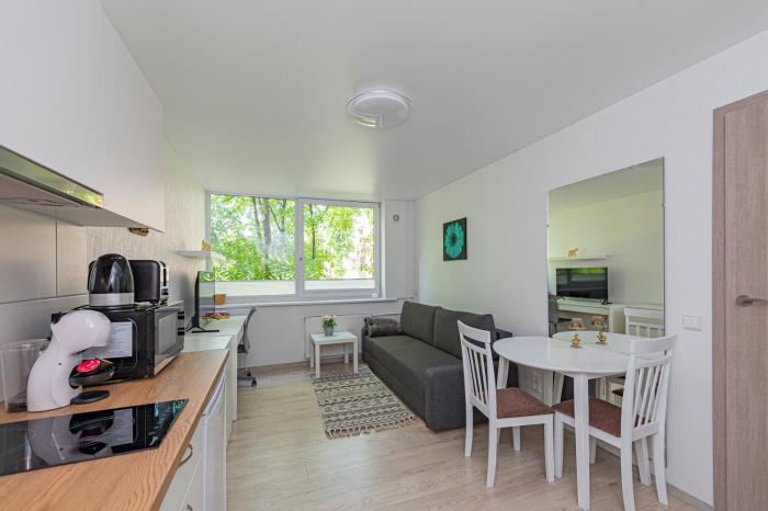 Partizanų studio apartment #2 by Polo Apartments