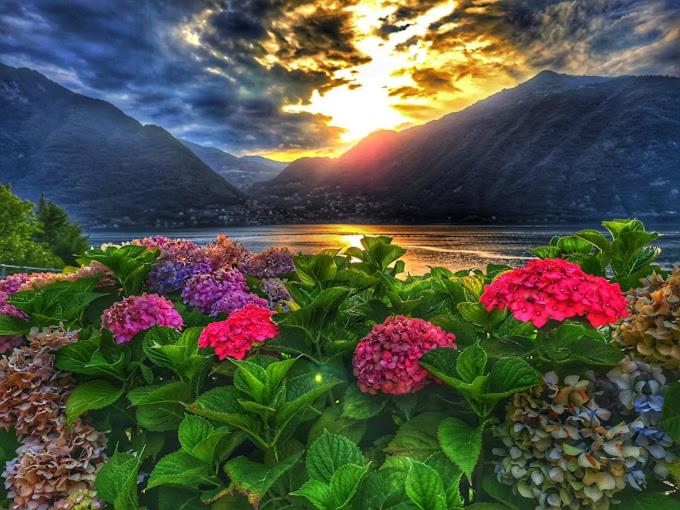 The silence holiday apartment