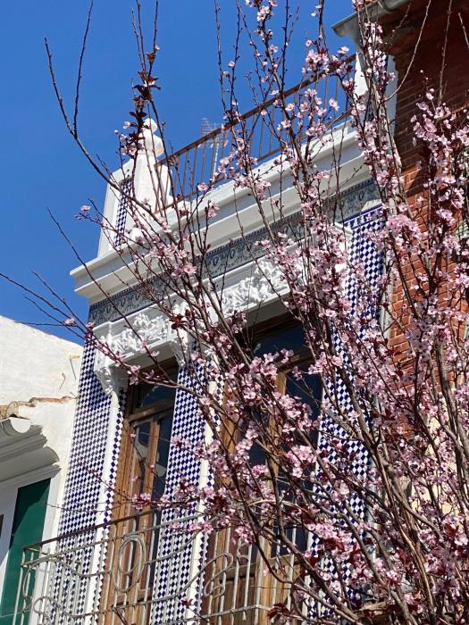 Artisan Haven: El Cabanyal Oasis