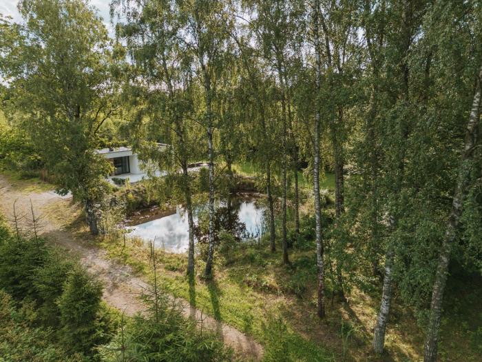 Leśny Apartament - Shuuumi Las