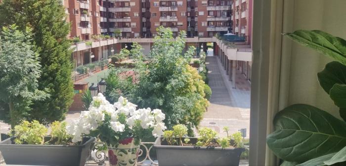 Alojamiento Oviedo 3