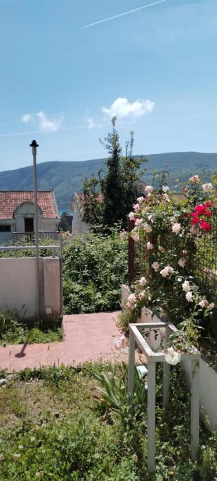 Студия у моря Платон