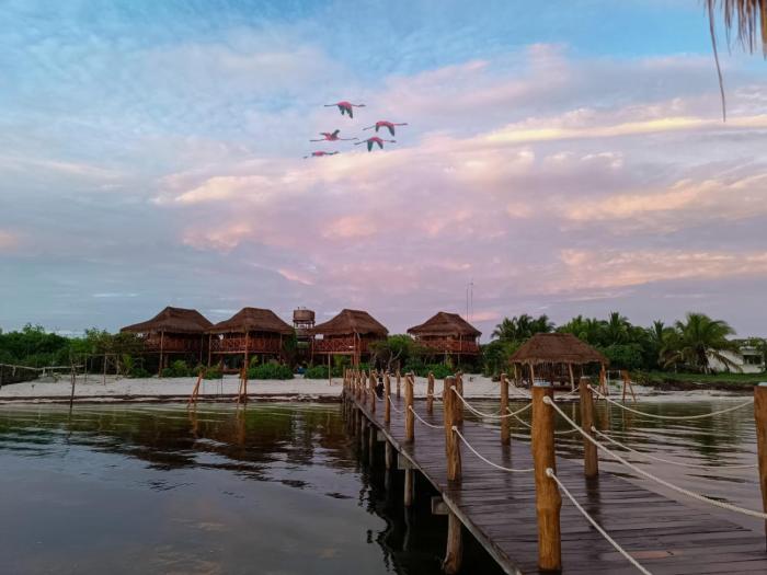 Experiencia Casa Blanca