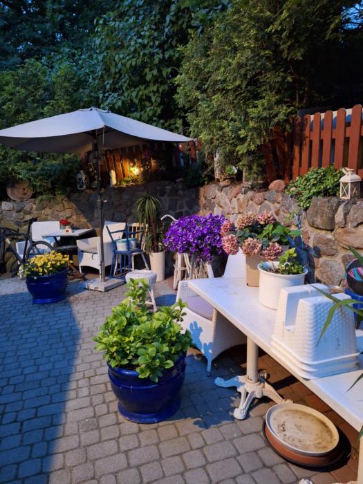 domek letniskowy hortensja 2 os