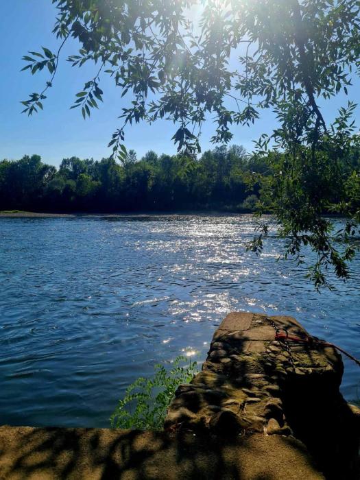 Odmor pored Drine
