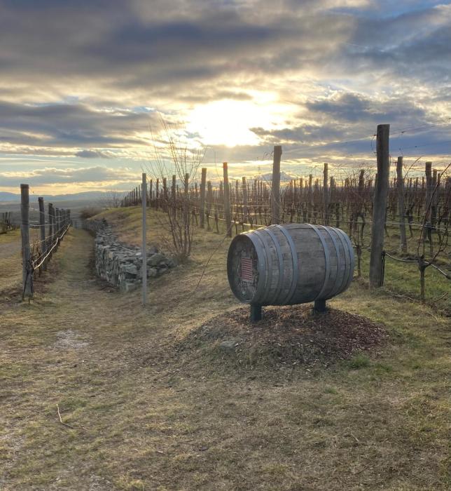 Ferienwohnung Langenlois