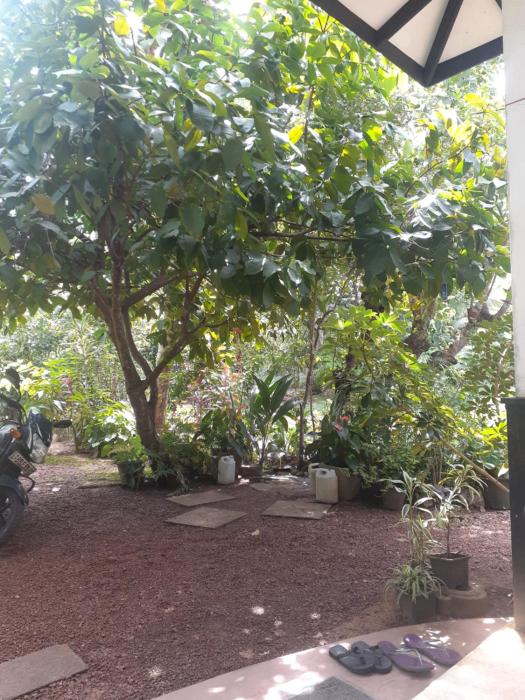 Villa Kosgoda