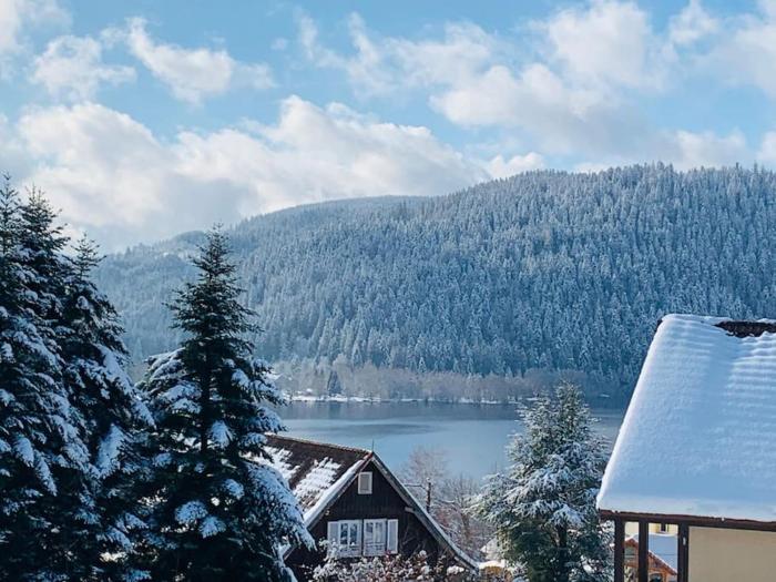 Duplex dans chalet avec superbe vue lac et piscine commune