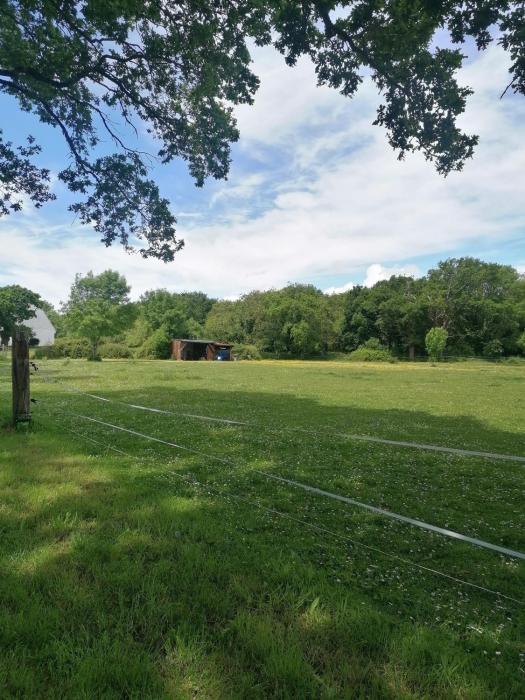 Larmor plage, étang du ter