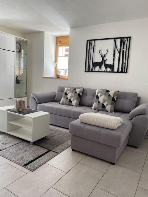 Zentrale Wohnung in ruhiger Lage in Baltschieder