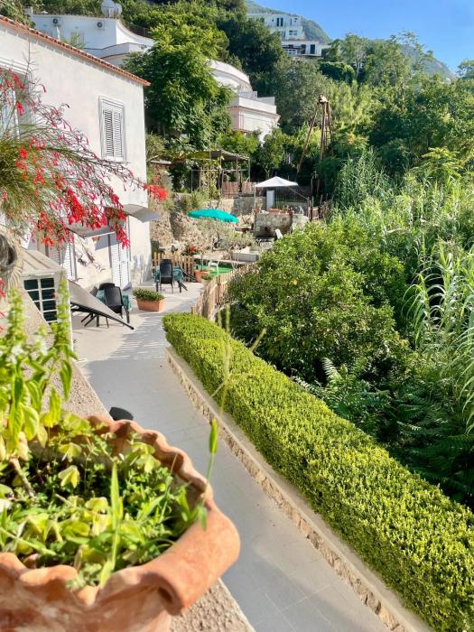 Villa Raffaela - Appartamenti Lacco Ameno