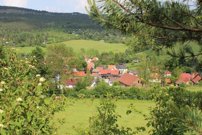 FeWo im Grünen
